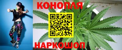индика Пугачёв