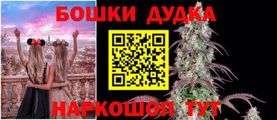 индика Пугачёв