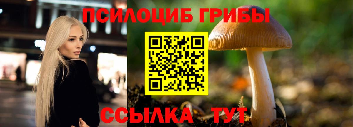 Галлюциногенные грибы GOLDEN TEACHER Протвино